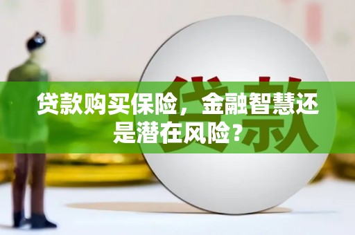 惠济贷款购买保险，金融智慧还是潜在风险？