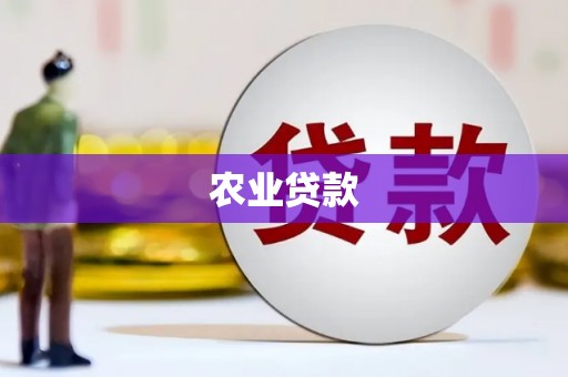 惠济农业贷款