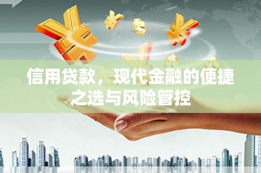 惠济信用贷款，现代金融的便捷之选与风险管控