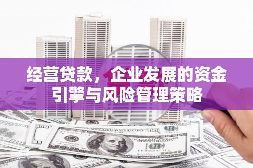 惠济经营贷款，企业发展的资金引擎与风险管理策略