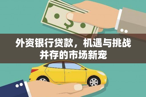 惠济外资银行贷款，机遇与挑战并存的市场新宠