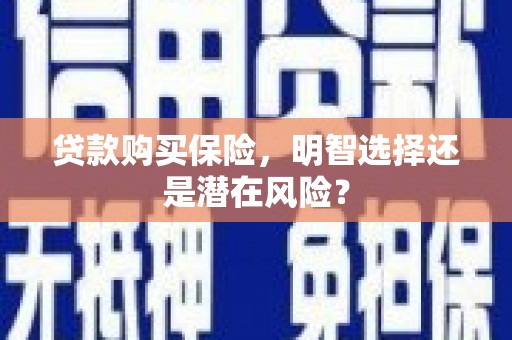 惠济贷款购买保险，明智选择还是潜在风险？
