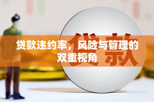 惠济贷款违约率，风险与管理的双重视角