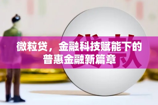 惠济微粒贷，金融科技赋能下的普惠金融新篇章