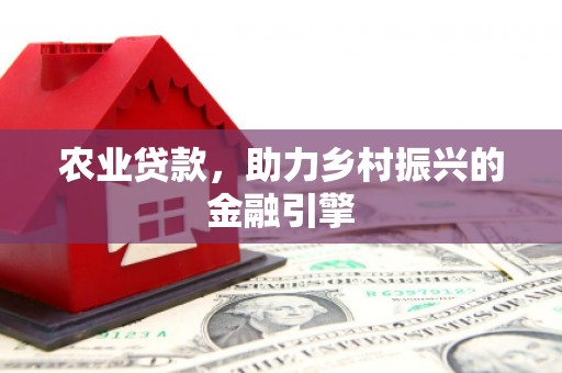惠济农业贷款，助力乡村振兴的金融引擎