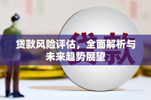 惠济贷款风险评估，全面解析与未来趋势展望