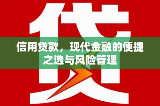 惠济信用贷款，现代金融的便捷之选与风险管理