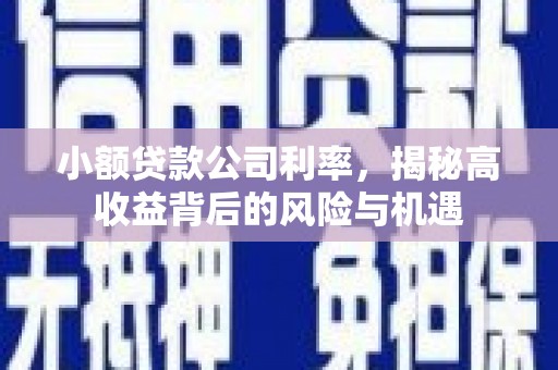 惠济小额贷款公司利率，揭秘高收益背后的风险与机遇