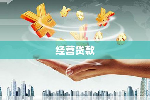 惠济经营贷款