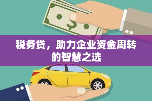 惠济税务贷，助力企业资金周转的智慧之选
