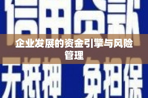 惠济企业发展的资金引擎与风险管理