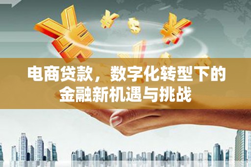 惠济电商贷款，数字化转型下的金融新机遇与挑战