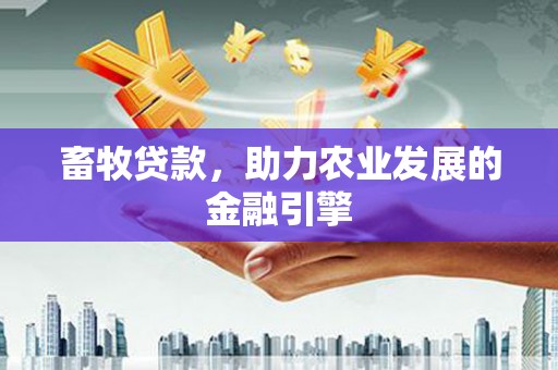 惠济畜牧贷款，助力农业发展的金融引擎