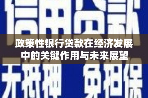 惠济政策性银行贷款在经济发展中的关键作用与未来展望