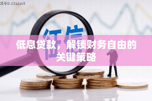 惠济低息贷款，解锁财务自由的关键策略