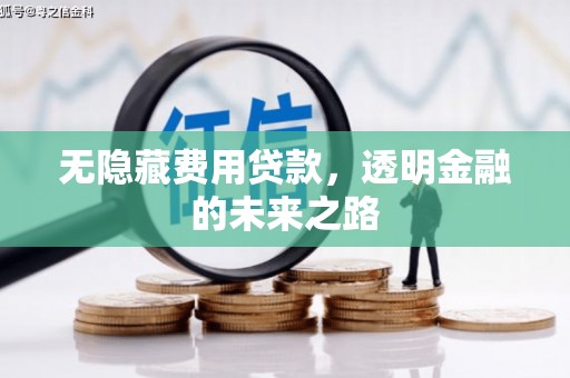 惠济无隐藏费用贷款，透明金融的未来之路