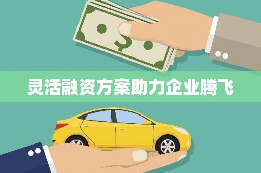 惠济灵活融资方案助力企业腾飞