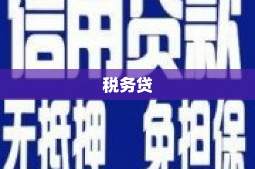惠济税务贷