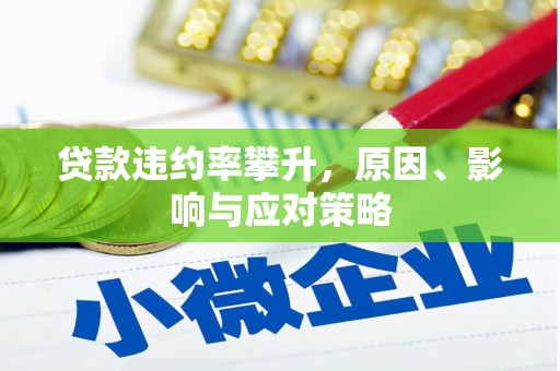 惠济贷款违约率攀升，原因、影响与应对策略