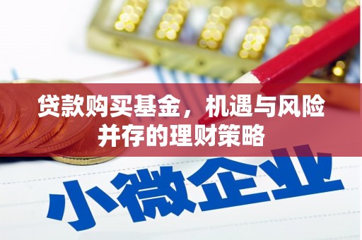 惠济贷款购买基金，机遇与风险并存的理财策略