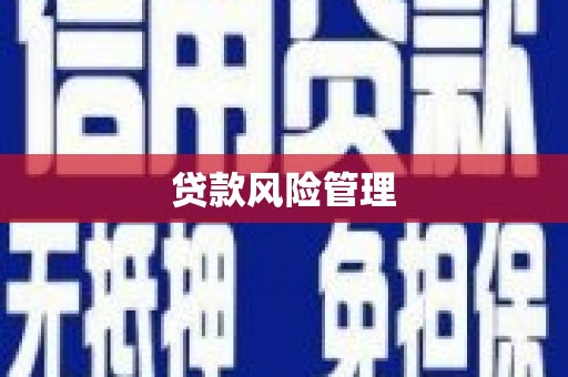 惠济贷款风险管理