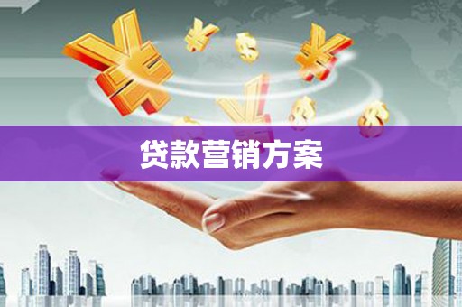 惠济贷款营销方案