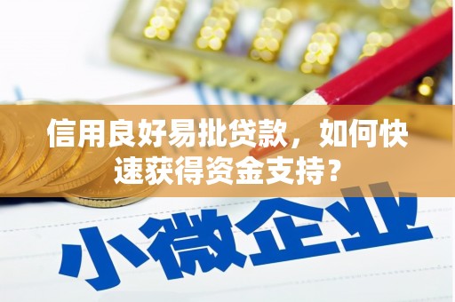 惠济信用良好易批贷款，如何快速获得资金支持？