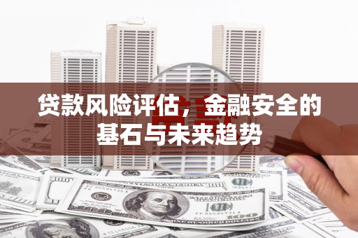 惠济贷款风险评估，金融安全的基石与未来趋势
