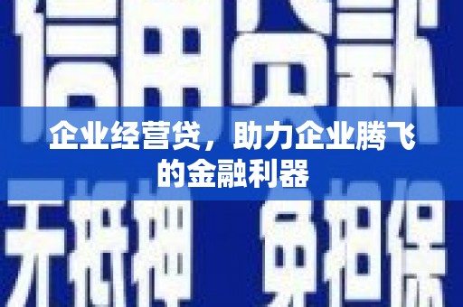 惠济企业经营贷，助力企业腾飞的金融利器