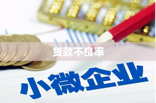 惠济贷款不良率