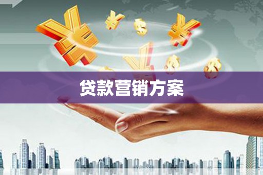 惠济贷款营销方案