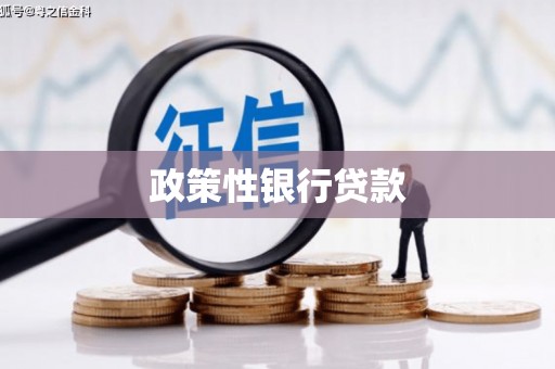 惠济政策性银行贷款