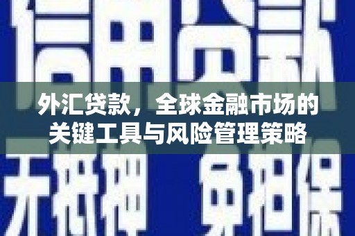 惠济外汇贷款，全球金融市场的关键工具与风险管理策略