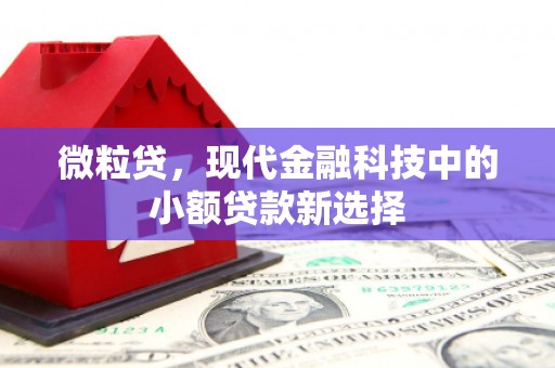 惠济微粒贷，现代金融科技中的小额贷款新选择