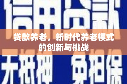 惠济贷款养老，新时代养老模式的创新与挑战