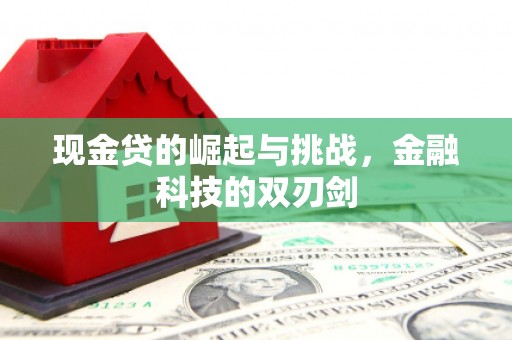 惠济现金贷的崛起与挑战，金融科技的双刃剑