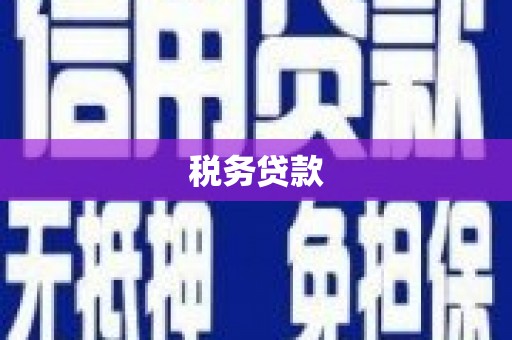 惠济税务贷款