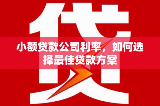 惠济小额贷款公司利率，如何选择最佳贷款方案