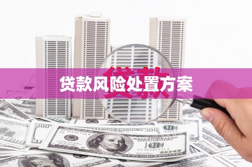 惠济贷款风险处置方案