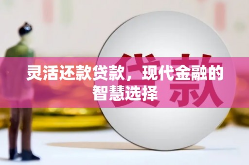 惠济灵活还款贷款，现代金融的智慧选择
