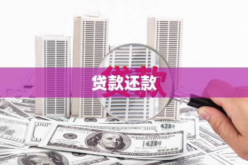 惠济贷款还款