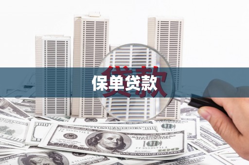 惠济保单贷款