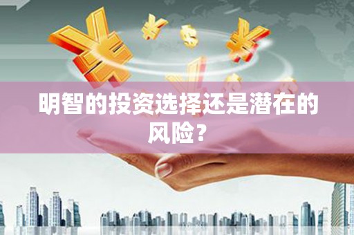 惠济明智的投资选择还是潜在的风险？