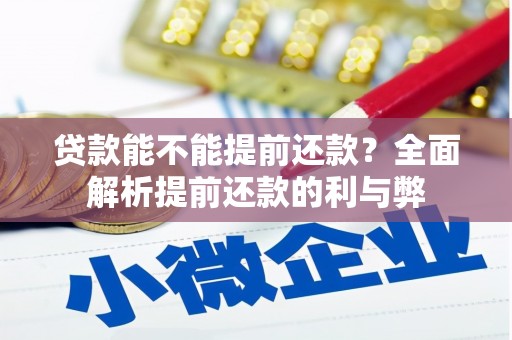 惠济贷款能不能提前还款？全面解析提前还款的利与弊