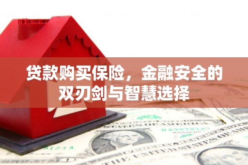 惠济贷款购买保险，金融安全的双刃剑与智慧选择