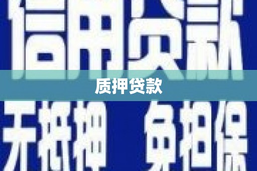惠济质押贷款