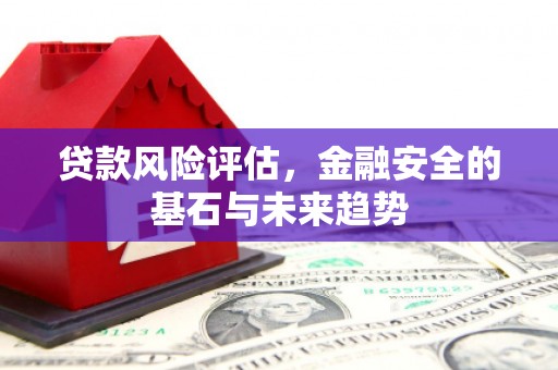 惠济贷款风险评估，金融安全的基石与未来趋势
