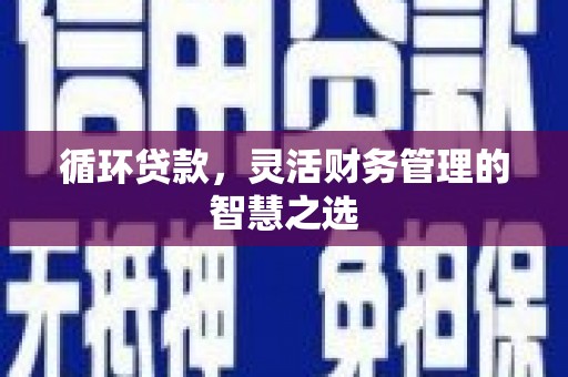 惠济循环贷款，灵活财务管理的智慧之选