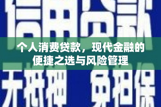 惠济个人消费贷款，现代金融的便捷之选与风险管理