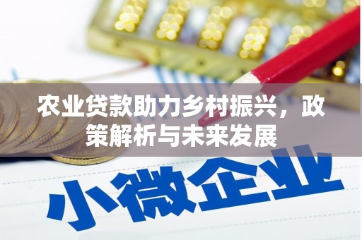 惠济农业贷款助力乡村振兴，政策解析与未来发展